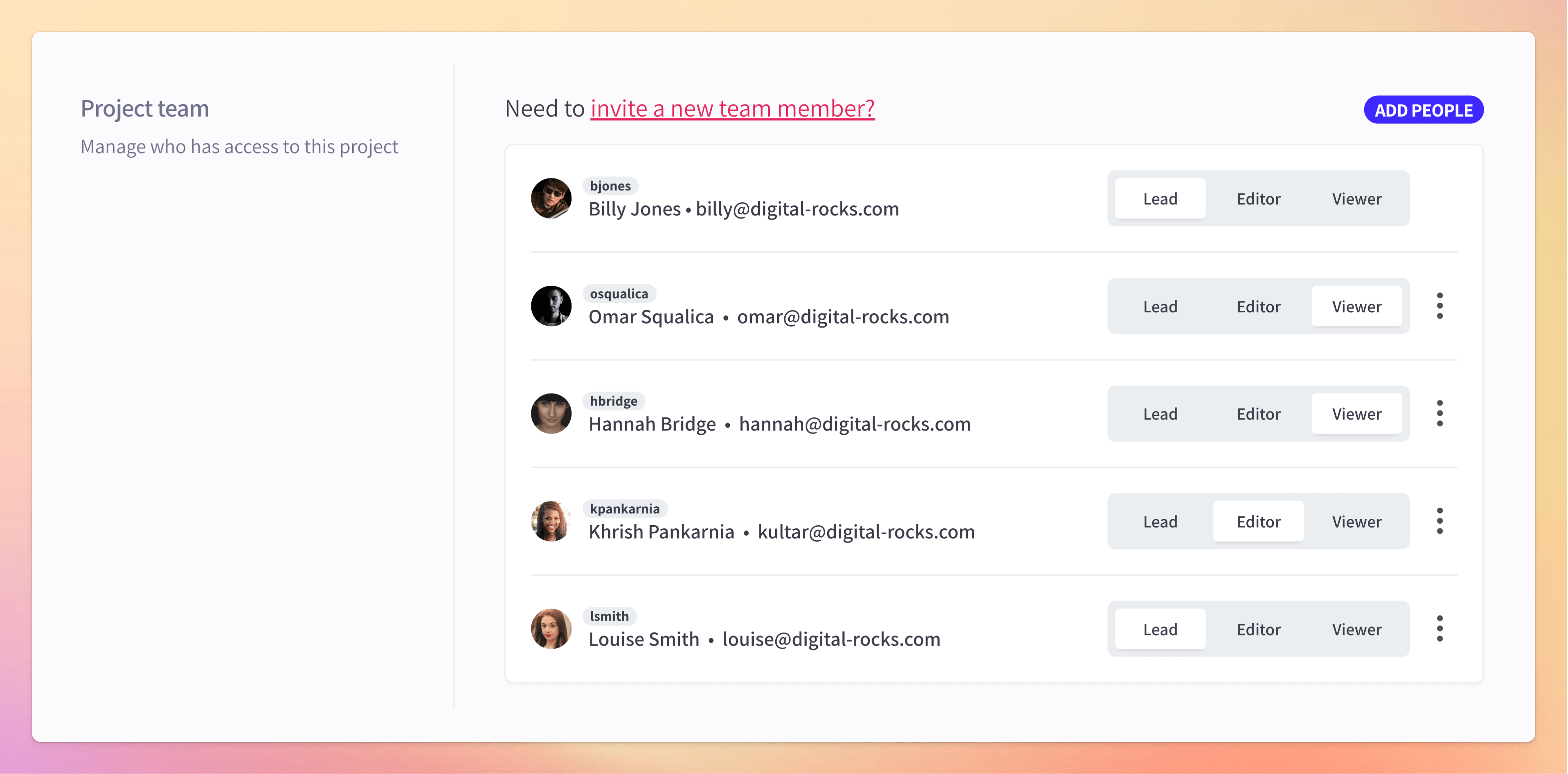Example project team and project roles